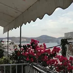 Apergis